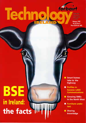 Fig 4: Cover illustration for Technology Ireland,
February 1997, edited by Mary Mulvihill. The image was a response to an article by that was about the issue of BSE in Ireland.